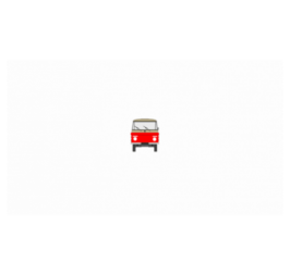 ELSŐ PÁNT RÉGI TÍPUSÚ BOGÁR